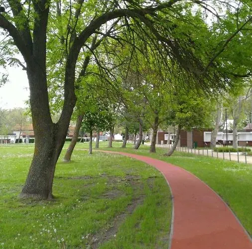 Lavender Balatonboglár