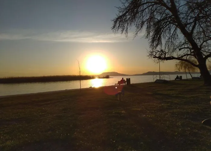 Lavender * Balatonboglár